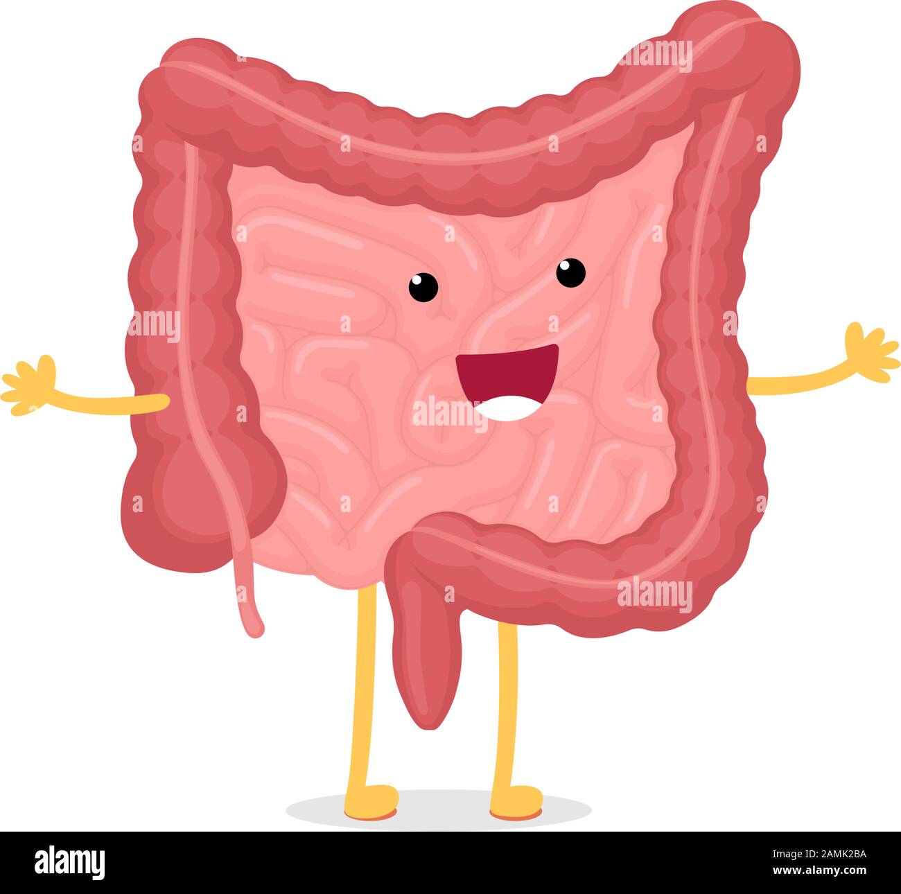 Carino cartoon sano intestino carattere smiley. Cavità addominale digestivo ed escrezione organo interno umano. Intestino tenue e colon con retto duodeno e illustrazione dell'anatomia vettoriale dell'appendice Illustrazione Vettoriale