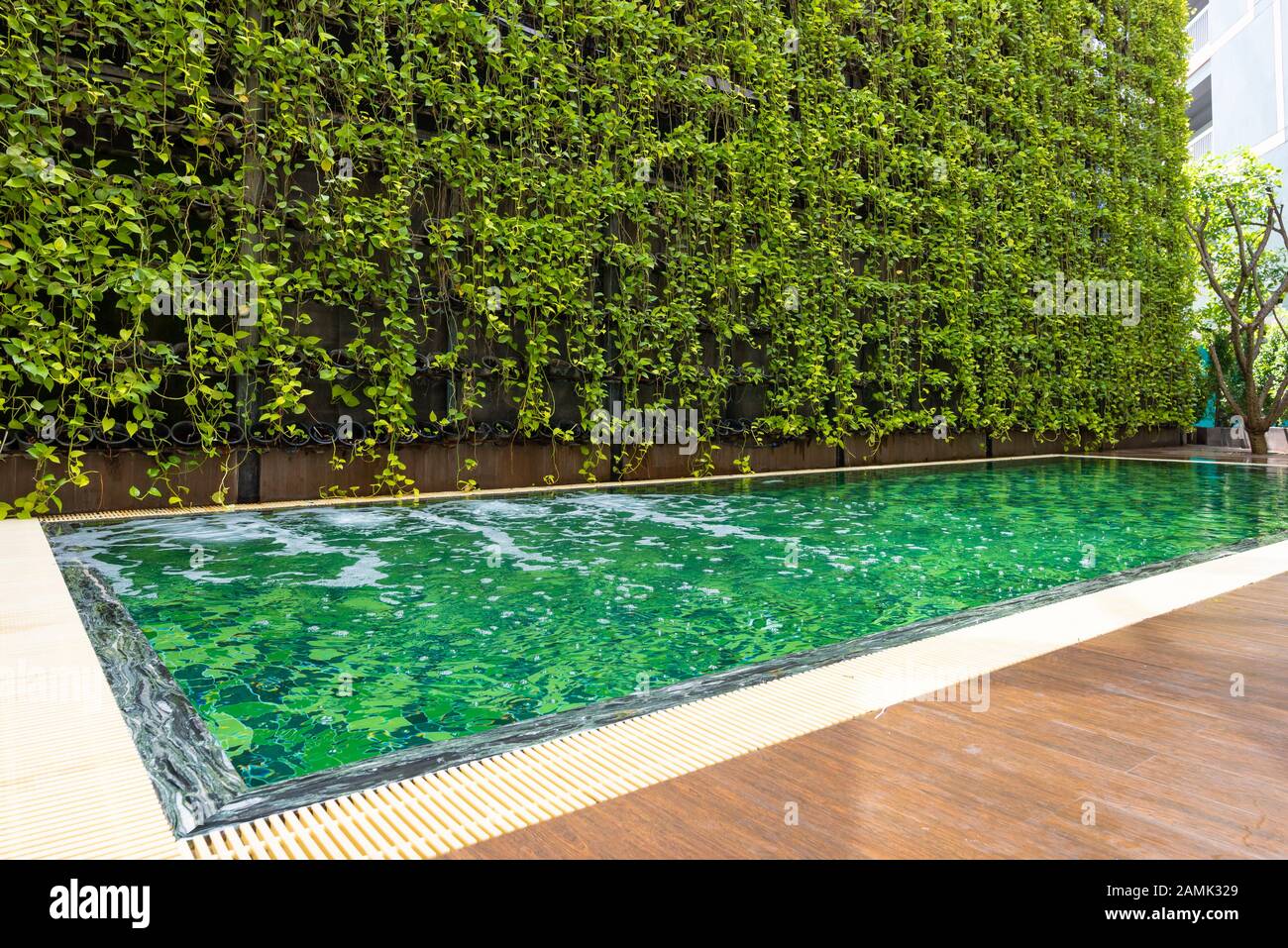 Piscina con piccolo giardino. Il nuoto è molto popolare sport nella stagione estiva Foto Stock