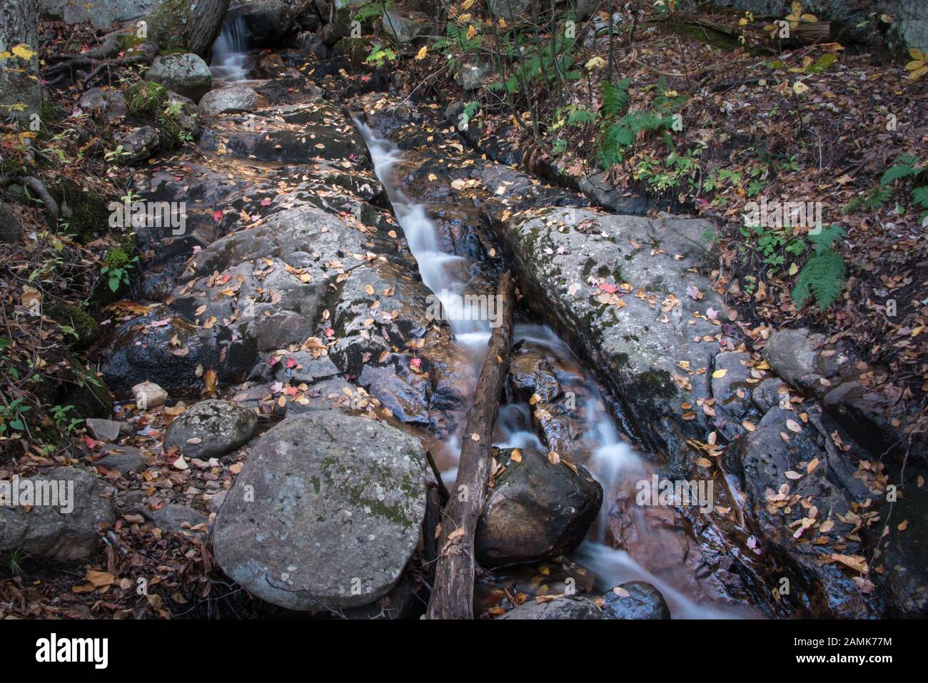 Ruscello con le foglie cadute di autunno a Mont Tremblant, Quebec, Canada Foto Stock