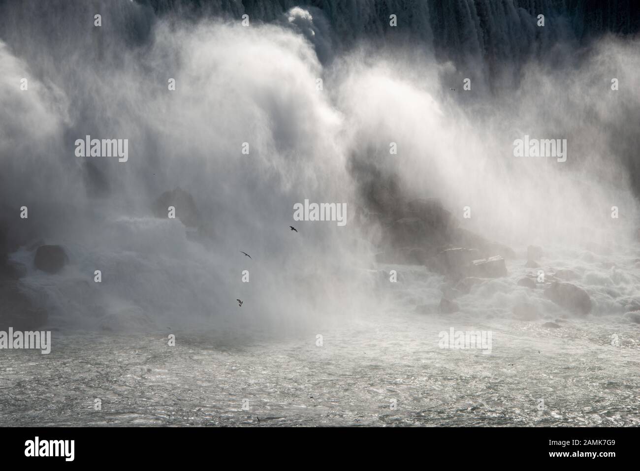 Uccelli che volano sulle ruggenti Cascate del Niagara Foto Stock