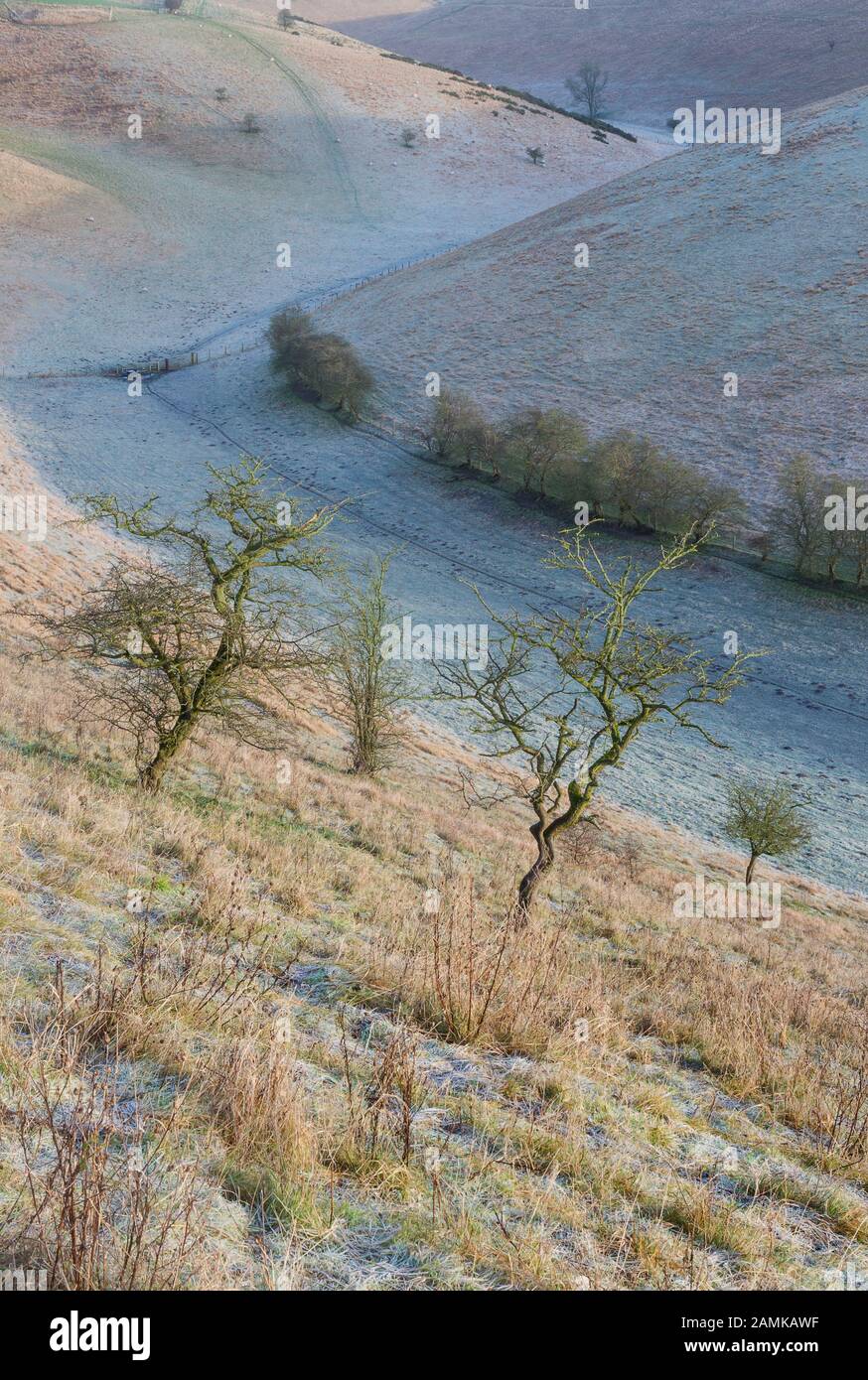 Yorkshire Wolds Dry Chalk Dale Foto Stock