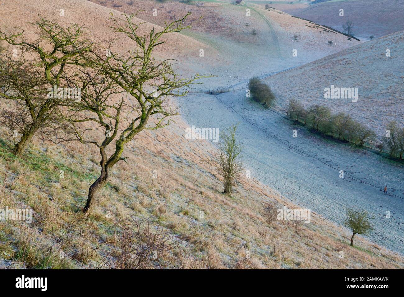 Yorkshire Wolds Dry Chalk Dale Foto Stock