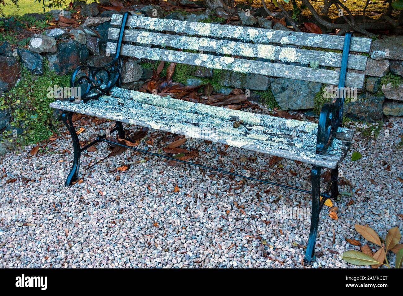 Panchina da giardino sedile con nero metallo verniciato supporti di estremità e di assicelle di legno che sono ricoperte da licheni permanente sulla ghiaia, Cornwall, Regno Unito Foto Stock