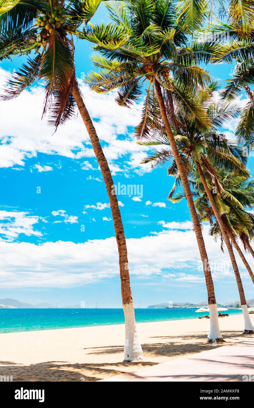 Empty Paradise beach, blu mare bellissima isola tropicale. Vacanza e concetto di vacanza, vacanze in Asia Foto Stock