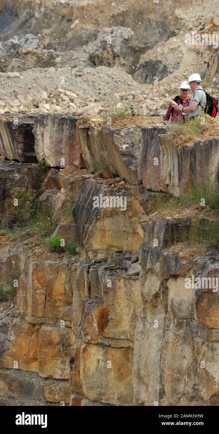 Scienziati internazionali in un'escursione geologica di accompagnamento attraverso il paesaggio craterico delle Ries Nördlinger. La colorata breccia e la suevite sono particolarmente ricercate. [traduzione automatizzata] Foto Stock