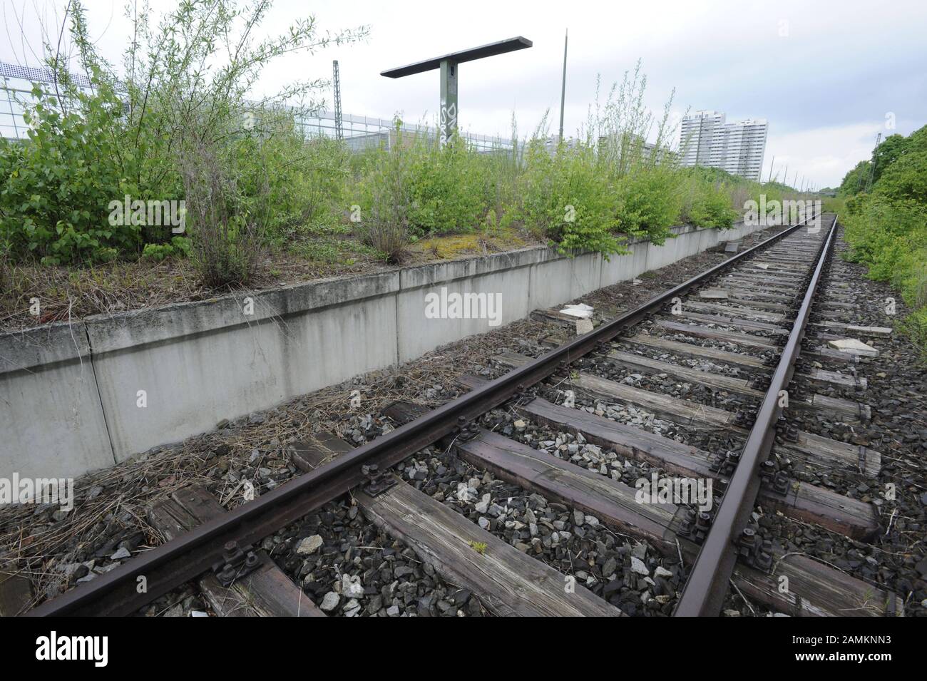 Le ferrovie della vecchia stazione S-Bahn Olympiapressestadt, la cui stazione è stata scollegata dalla rete S-Bahn nel 1988 e completamente abbandonata nel 1992, è ora un biotopo. [traduzione automatizzata] Foto Stock