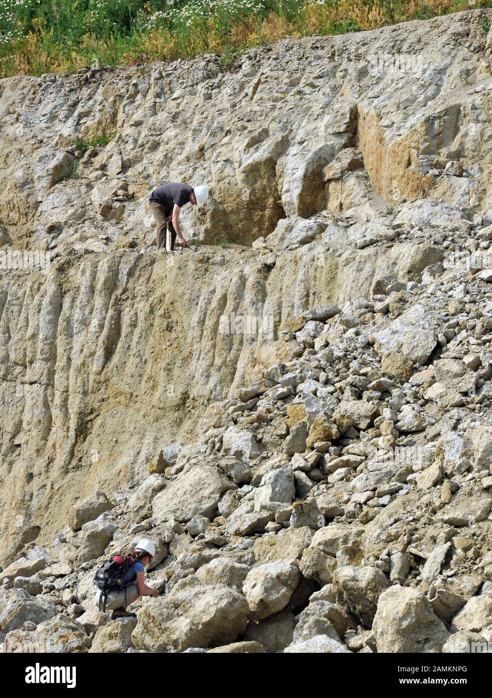 Scienziati internazionali in un'escursione geologica di accompagnamento attraverso il paesaggio craterico delle Ries Nördlinger. La colorata breccia e la suevite sono particolarmente ricercate. [traduzione automatizzata] Foto Stock