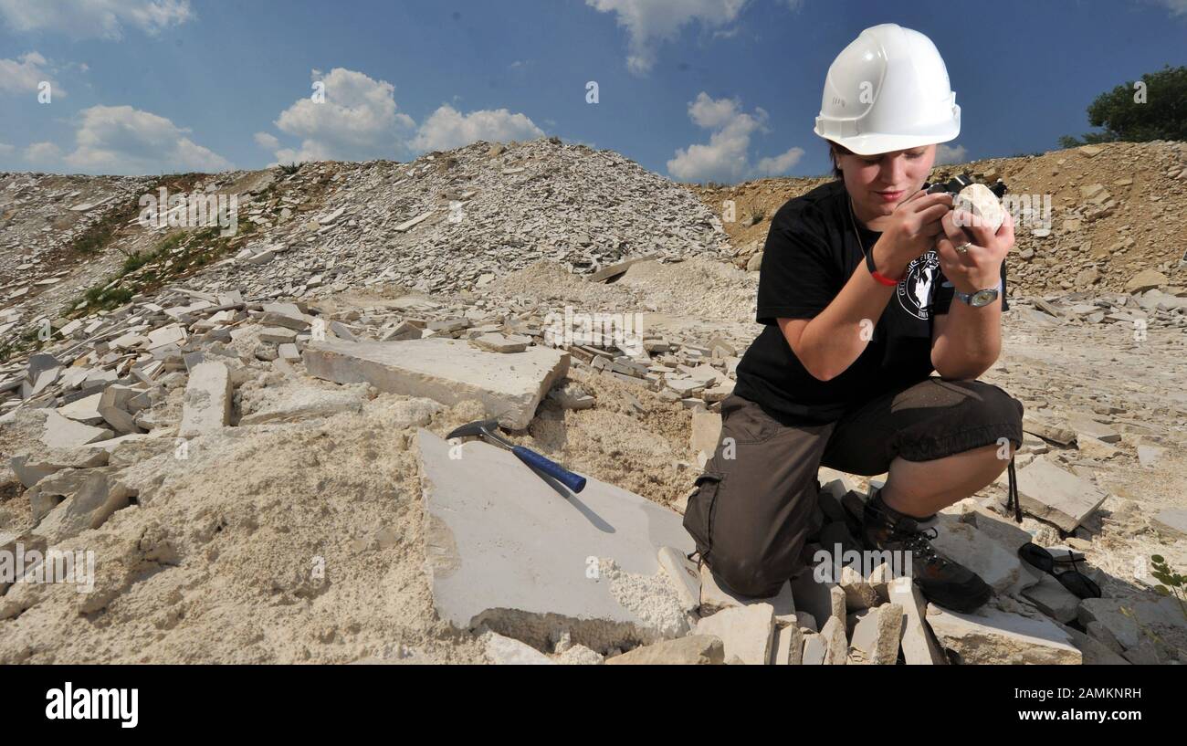 Scienziati internazionali in un'escursione geologica di accompagnamento attraverso il paesaggio craterico delle Ries Nördlinger. La colorata breccia e la suevite sono particolarmente ricercate. [traduzione automatizzata] Foto Stock