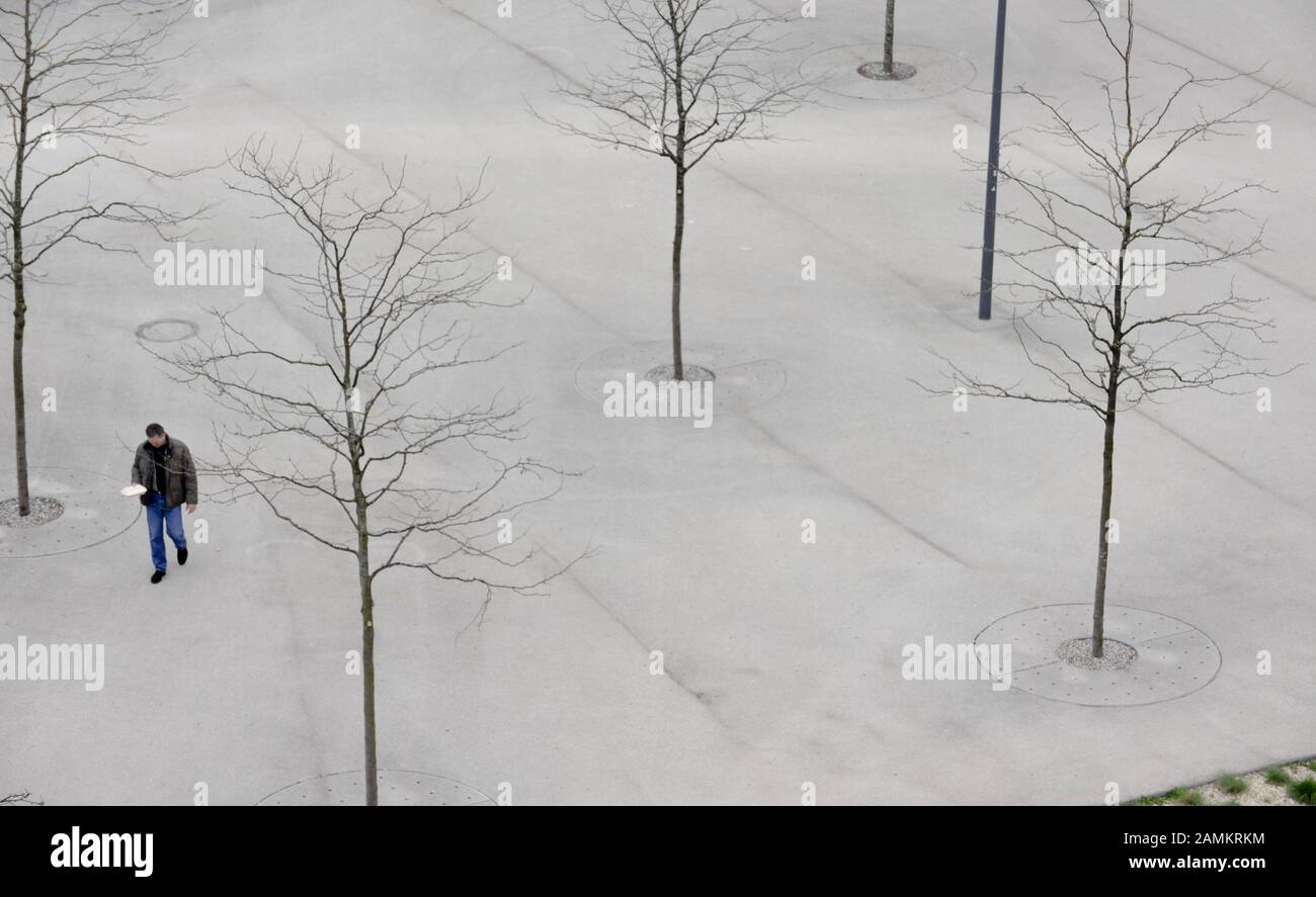 Alberi malati a Klaus-Mann-Platz, nell'Arnulfpark di Monaco. [traduzione automatizzata] Foto Stock