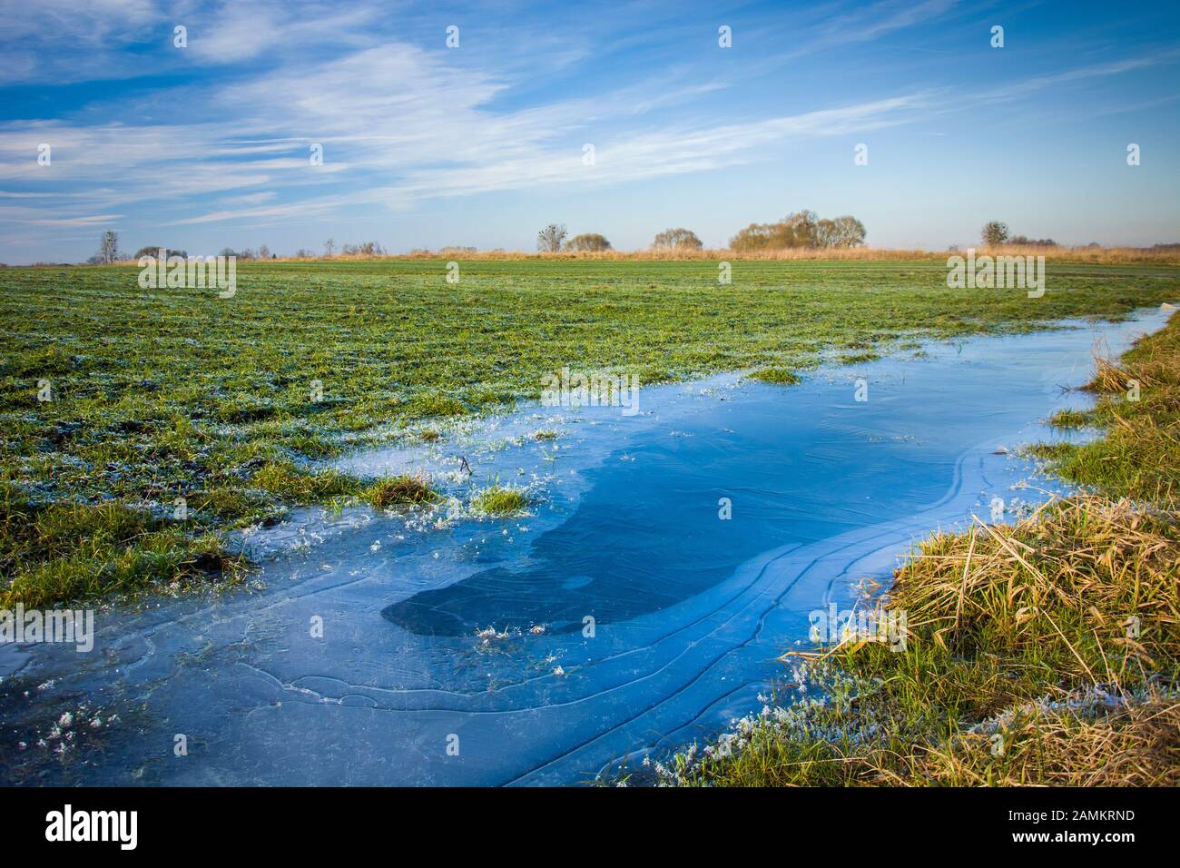Acqua congelata su un campo verde e cielo blu Foto Stock