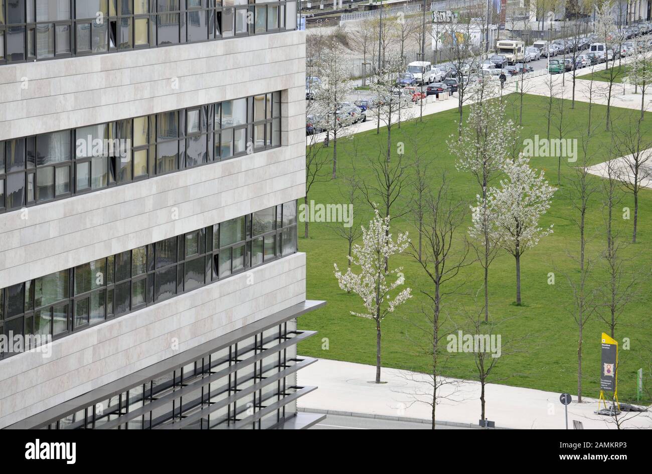 Alberi malati a Klaus-Mann-Platz, nell'Arnulfpark di Monaco. [traduzione automatizzata] Foto Stock