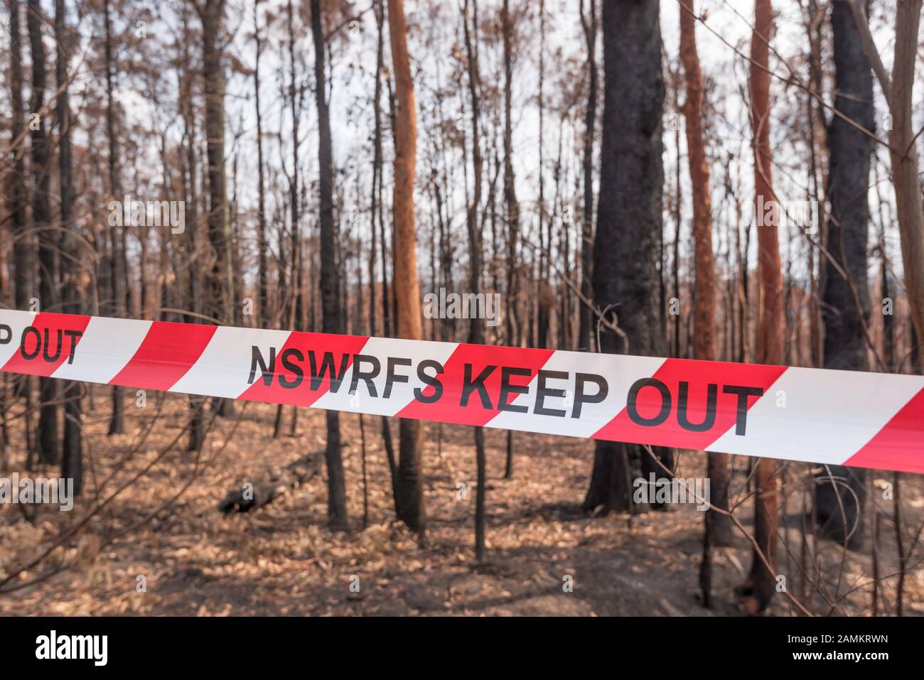 Il Gospers Mountain Mega-Fire ha bruciato attraverso oltre 500.000 ettari di cespuglio, fattorie e case di persone. Nel sobborgo di Bilpin il fuoco saltò la Bells Line of Road a fine dicembre e bruciò case, frutteti di mele e negozi che rendono la zona famosa. A partire dal 14 gennaio 2020 l'incendio è ancora in fiamme, ma è classificato come "Contenuto" e tutte le strade colpite sono ora aperte al traffico. Foto Di Credito Stephen Dwyer Alamy News Foto Stock