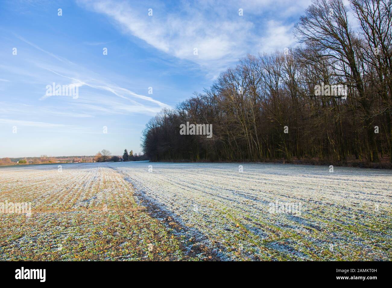 Neve su campi, foreste e cielo blu Foto Stock