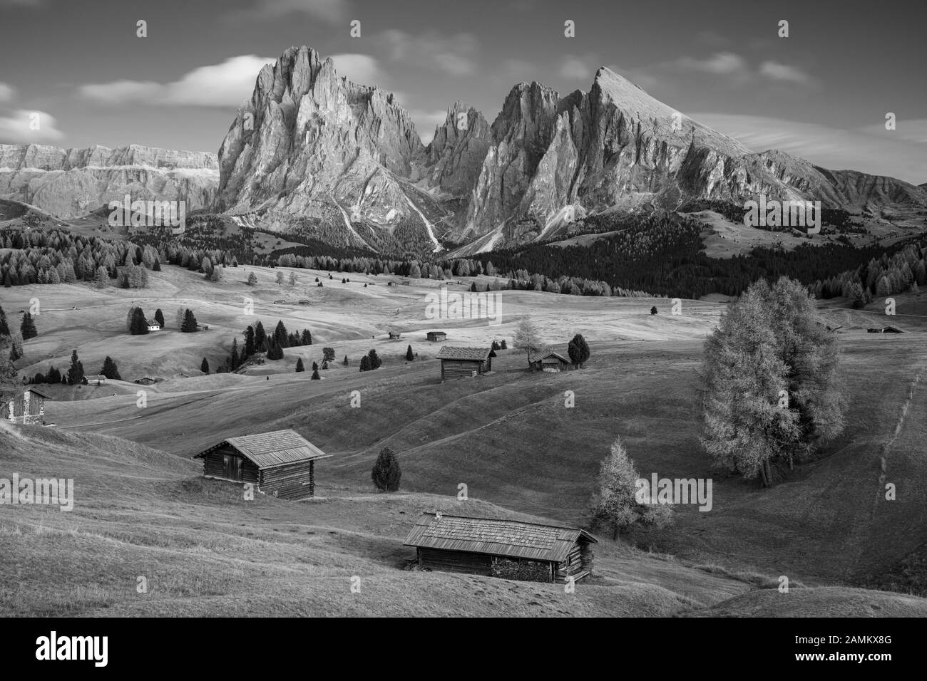 Alpe Di Siusi, Dolomiti. Immagine del paesaggio bianco e nero di Seiser Alm un altopiano dolomitico e il più grande prato alpino d'alta quota d'Europa. Foto Stock