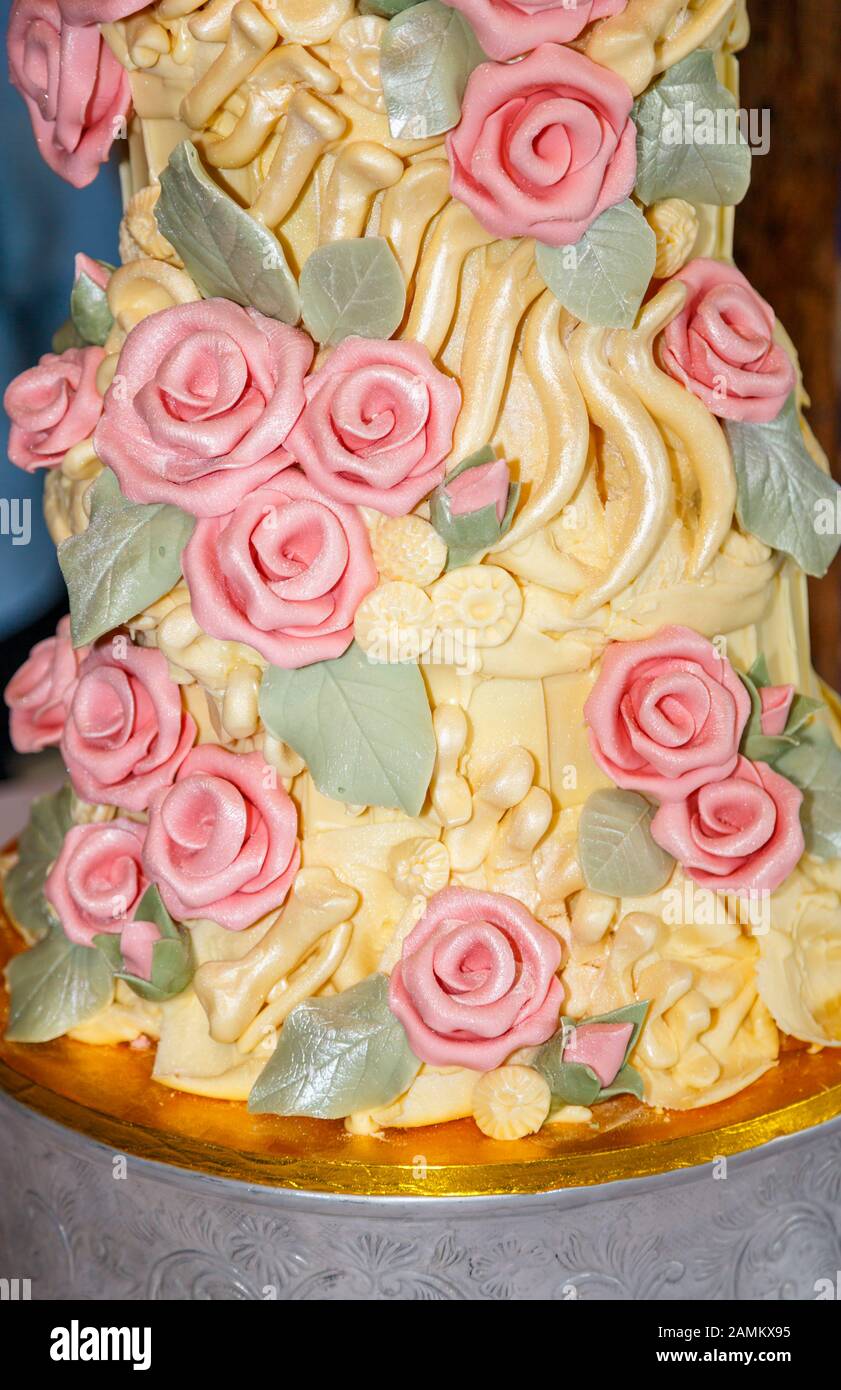 Elaborate una colorata torta di nozze al cioccolato ghiacciato con ossa di dinosauro glassa gialla e rose di zucchero rosa realizzate da Choccywocydoodah di Brighton Foto Stock