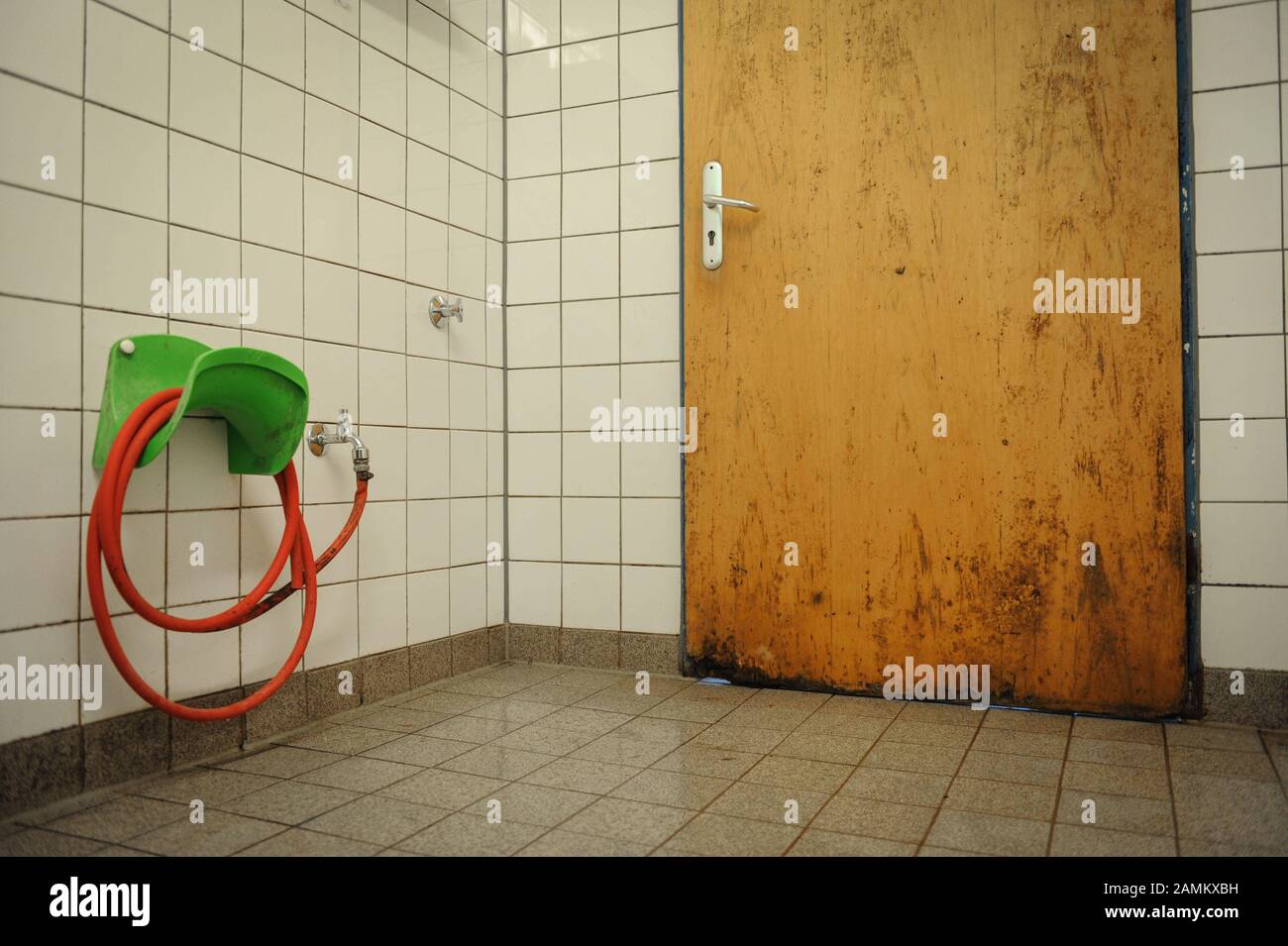 Muffa nella doccia maschile presso la struttura sportiva di Höglwörther Straße, nel quartiere di Monaco di Sendling. [traduzione automatizzata] Foto Stock