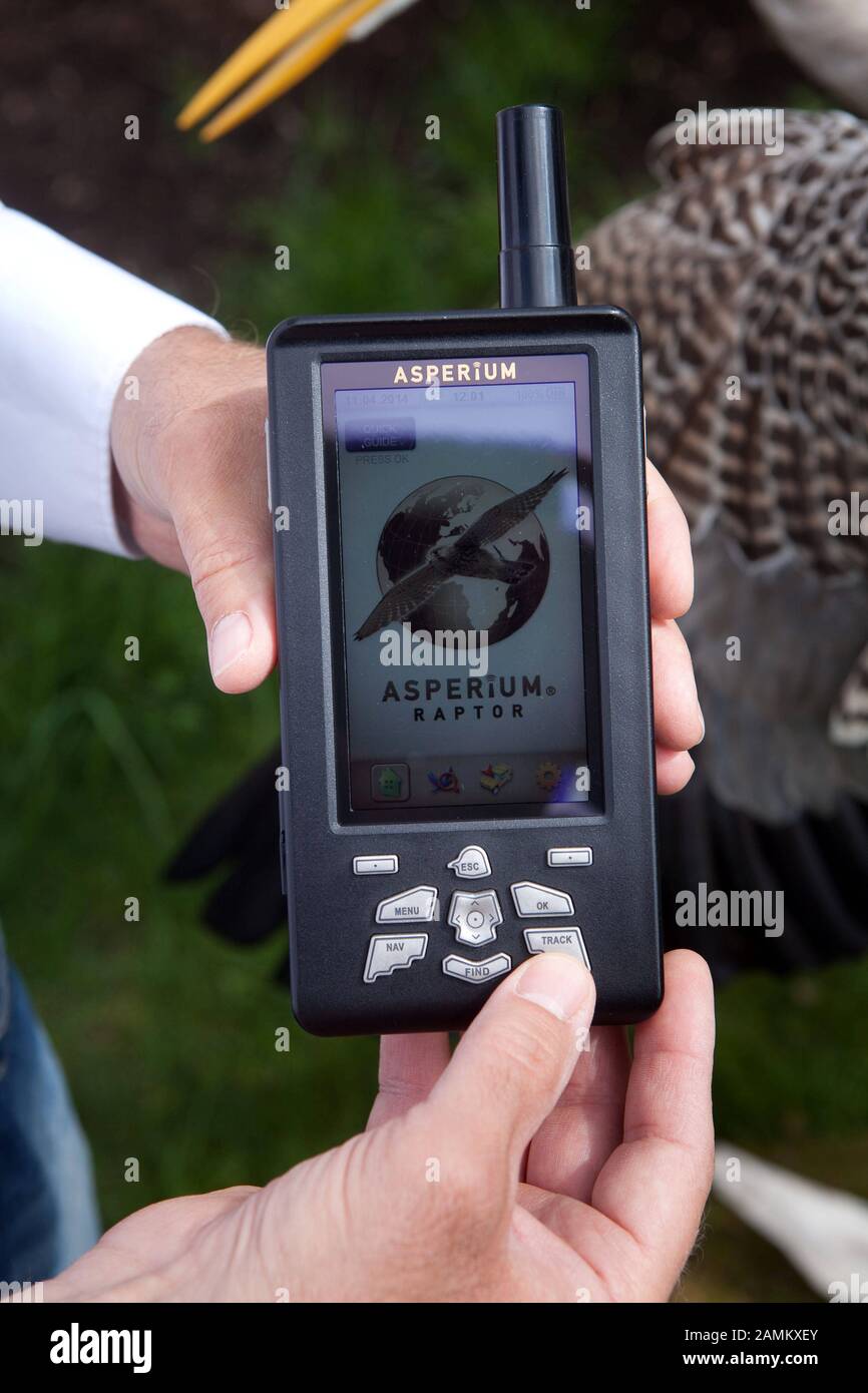 Alfons Alexander Weidinger, con sede a Monaco, ha sviluppato il sistema di tracciamento satellitare "Asperium Raptor", con il quale i proprietari di falchi possono rintracciare i loro preziosi uccelli in tutto il mondo. Nella foto, il palmare. [traduzione automatizzata] Foto Stock