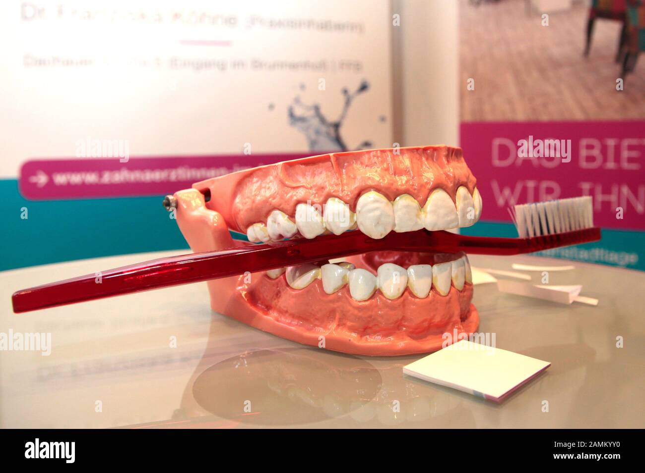 Dentiere e spazzolino da denti in uno stand con informazioni sulla cura dentale presso il Health Days presso il centro eventi di Fürstenfeld. [traduzione automatizzata] Foto Stock