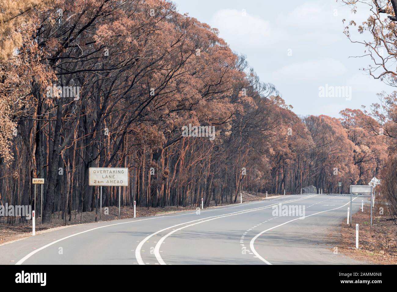 Il Gospers Mountain Mega-Fire ha bruciato attraverso oltre 500.000 ettari di cespuglio, fattorie e case di persone. Nel sobborgo di Bilpin il fuoco saltò la Bells Line of Road a fine dicembre e bruciò case, frutteti di mele e negozi che rendono la zona famosa. A partire dal 14 gennaio 2020 l'incendio è ancora in fiamme, ma è classificato come "Contenuto" e tutte le strade colpite sono ora aperte al traffico. Foto Di Credito Stephen Dwyer Alamy News Foto Stock
