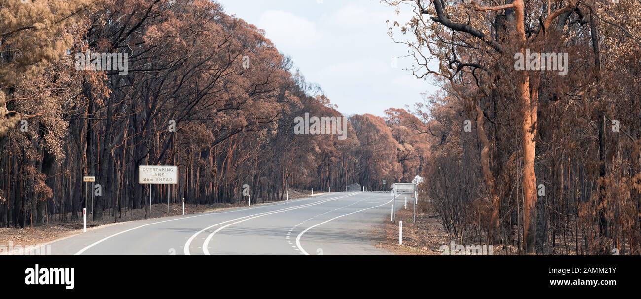 Il Gospers Mountain Mega-Fire ha bruciato attraverso oltre 500.000 ettari di cespuglio, fattorie e case di persone. Nel sobborgo di Bilpin il fuoco saltò la Bells Line of Road a fine dicembre e bruciò case, frutteti di mele e negozi che rendono la zona famosa. A partire dal 14 gennaio 2020 l'incendio è ancora in fiamme, ma è classificato come "Contenuto" e tutte le strade colpite sono ora aperte al traffico. Foto Di Credito Stephen Dwyer Alamy News Foto Stock
