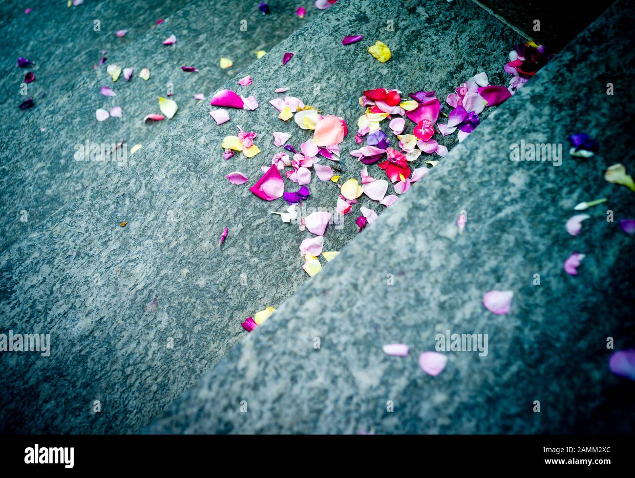 Dopo una cerimonia nuziale, petali si trovano di fronte all'ufficio del registro di Fürstenfeldbruck. [traduzione automatizzata] Foto Stock