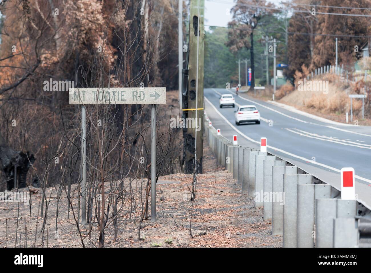Il Gospers Mountain Mega-Fire ha bruciato oltre 500.000 ettari di Bush, fattorie e case popolari. Nel sobborgo di Bilpin il fuoco ha saltato la Bells Line of Road alla fine di dicembre e ha bruciato case, frutteti di mele e negozi che rendono famosa la zona. A partire dal 14 gennaio 2020 l'incendio è ancora in fiamme, ma è classificato come "contenuto" e tutte le strade interessate sono ora aperte al traffico. Questa immagine mostra uno dei pochi punti in cui l'incendio bruciò fino al bordo della strada, ma fu impedito di attraversarlo. Foto di Stephen Dwyer Alamy News Foto Stock