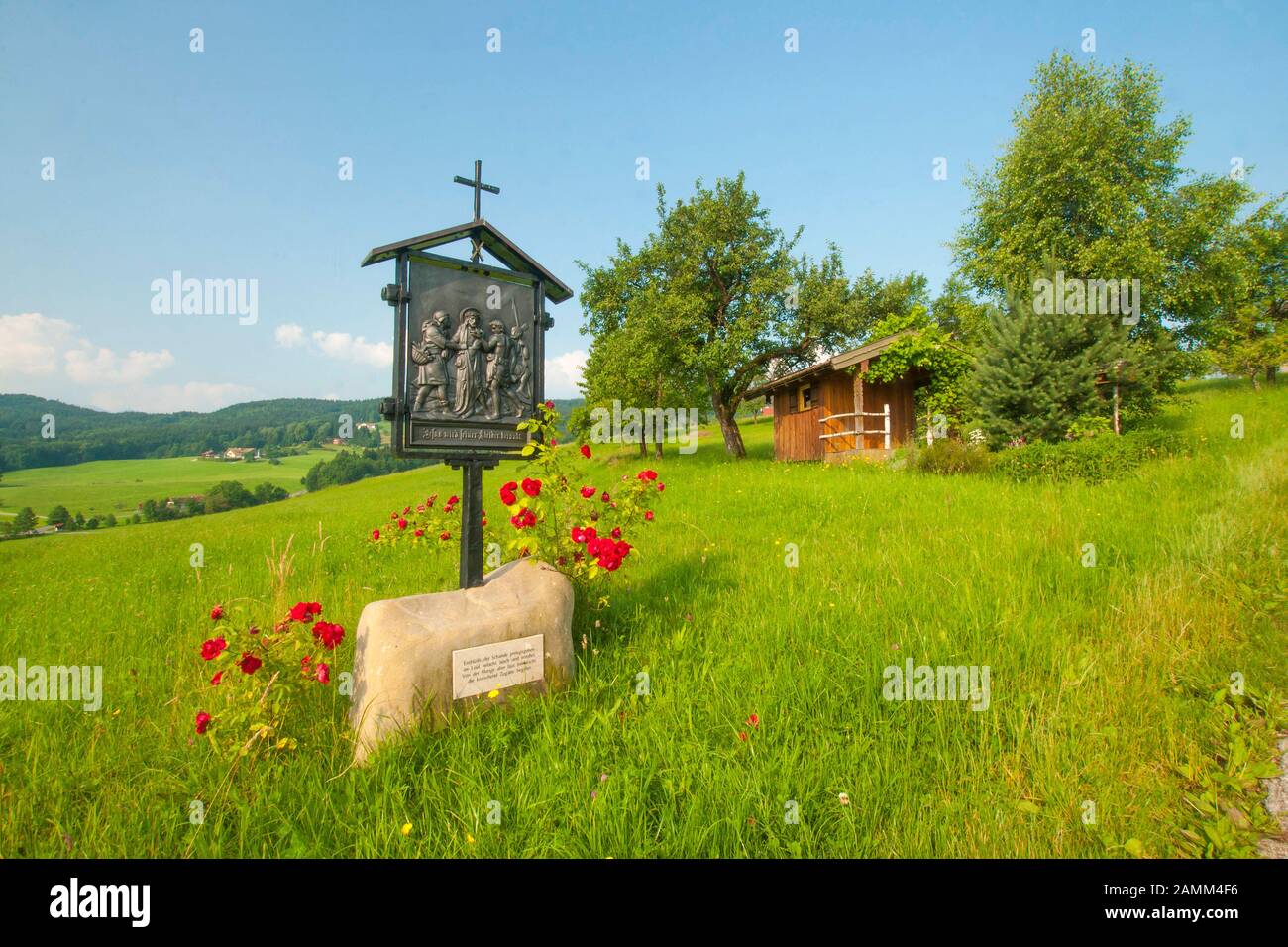 Fioritura cespuglio rosa alla stazione della croce sulla strada per Ulrichshögl, Ainring comunità, Berchtesgadener Land, alta Baviera [traduzione automatizzata] Foto Stock