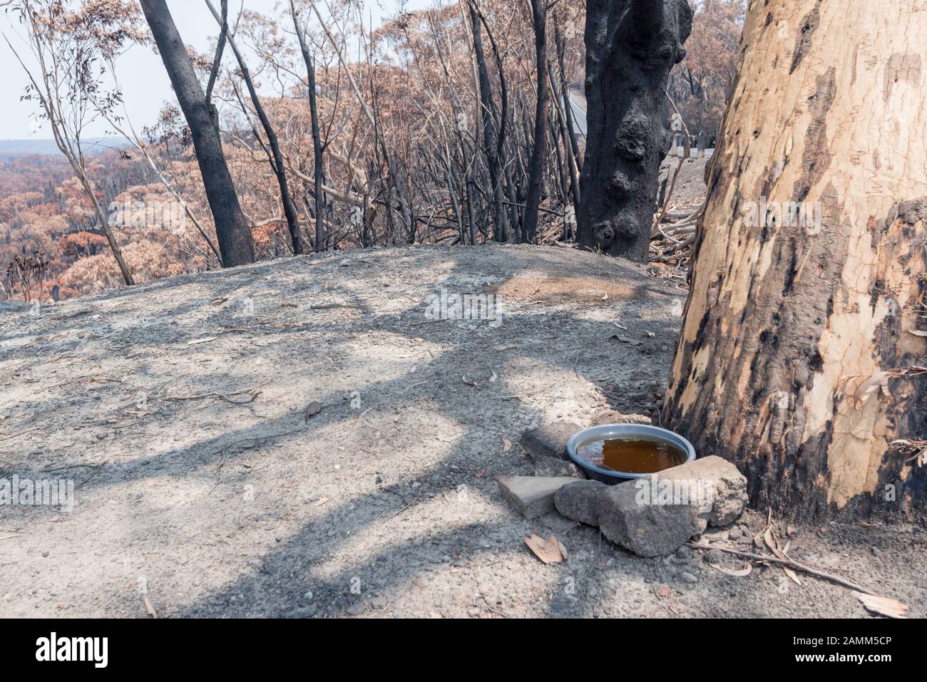 Il Gospers Mountain Mega-Fire ha bruciato attraverso oltre 500.000 ettari di cespuglio, fattorie e case di persone. Nel sobborgo di Bilpin il fuoco saltò la Bells Line of Road a fine dicembre e bruciò case, frutteti di mele e negozi che rendono la zona famosa. Questa immagine presa non lontano da Bilpin mostra un contenitore d'acqua messo fuori da un volontario locale per aiutare qualsiasi avifauna sopravvissuta e altri animali. A partire dal 14 gennaio 2020 l'incendio è ancora in fiamme, ma è classificato come "Contenuto" e tutte le strade colpite sono ora aperte al traffico. Foto Di Credito Stephen Dwyer Alamy News Foto Stock