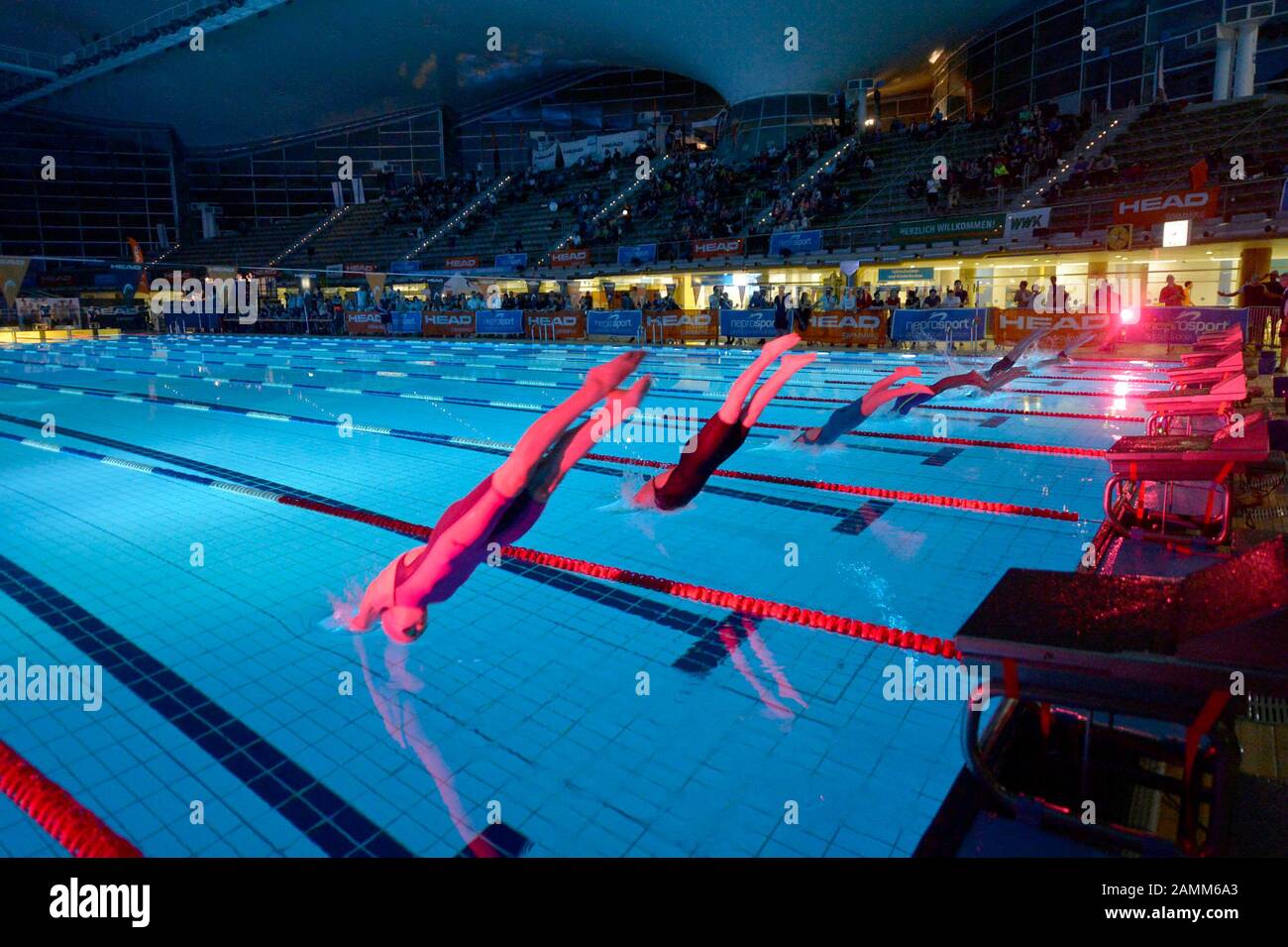 Nuotatore al festival di nuoto 'Head-Trophy' nella Sala olimpica di Monaco. In uno dei più grandi eventi di nuoto in Europa, i giovani atleti possono competere con i migliori nel loro campo. [traduzione automatizzata] Foto Stock