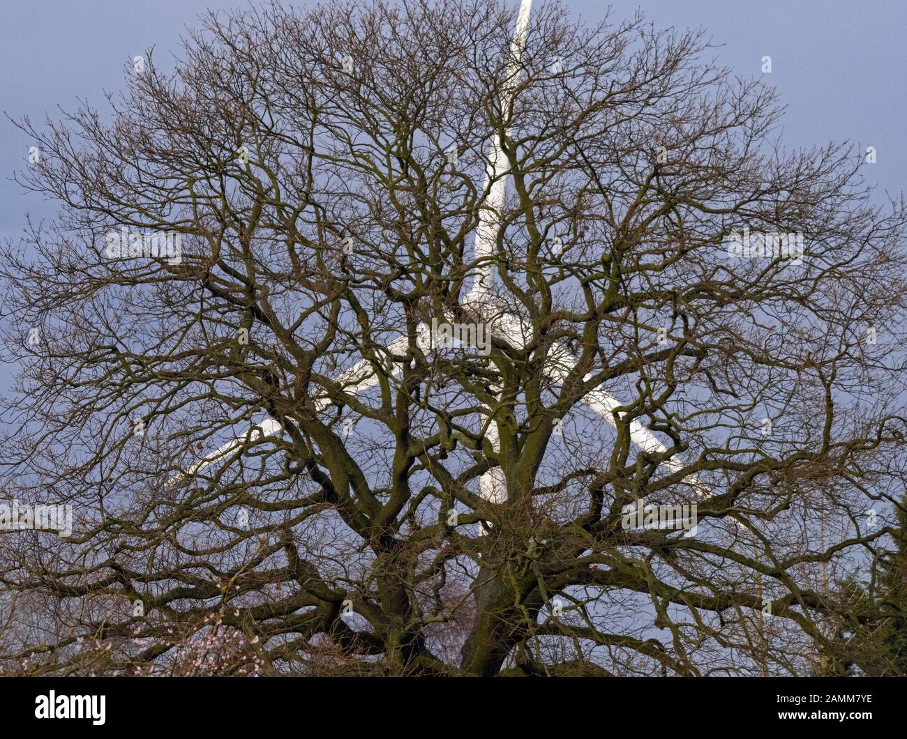 Turbina eolica a Kessingland Suffolk e quercia Foto Stock