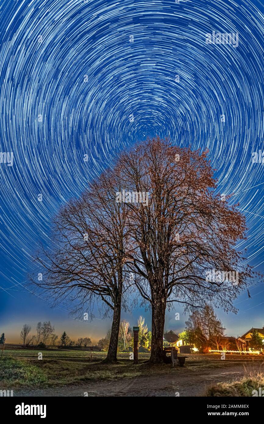 Cerchio di stelle su un albero solitario la stella settentrionale polaris centrato. Foto Stock