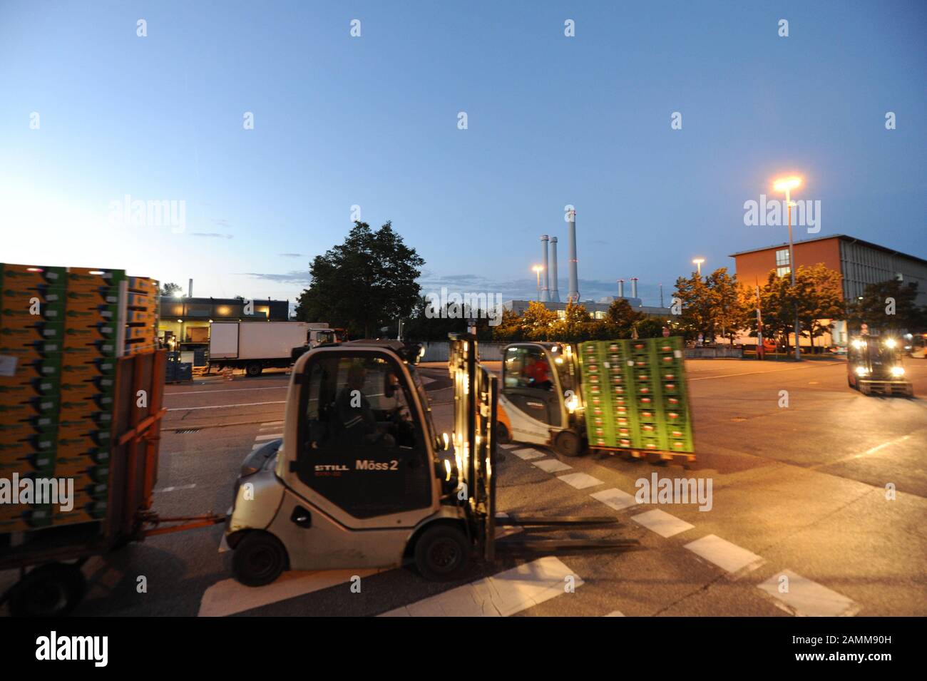 Vista della sala 1 con le bancarelle dei commercianti internazionali di frutta nella zona del mercato all'ingrosso di Monaco. L'intera area del mercato comprende 30 ettari ed è uno dei più grandi punti di trasbordo per frutta e verdura in Europa. [traduzione automatizzata] Foto Stock
