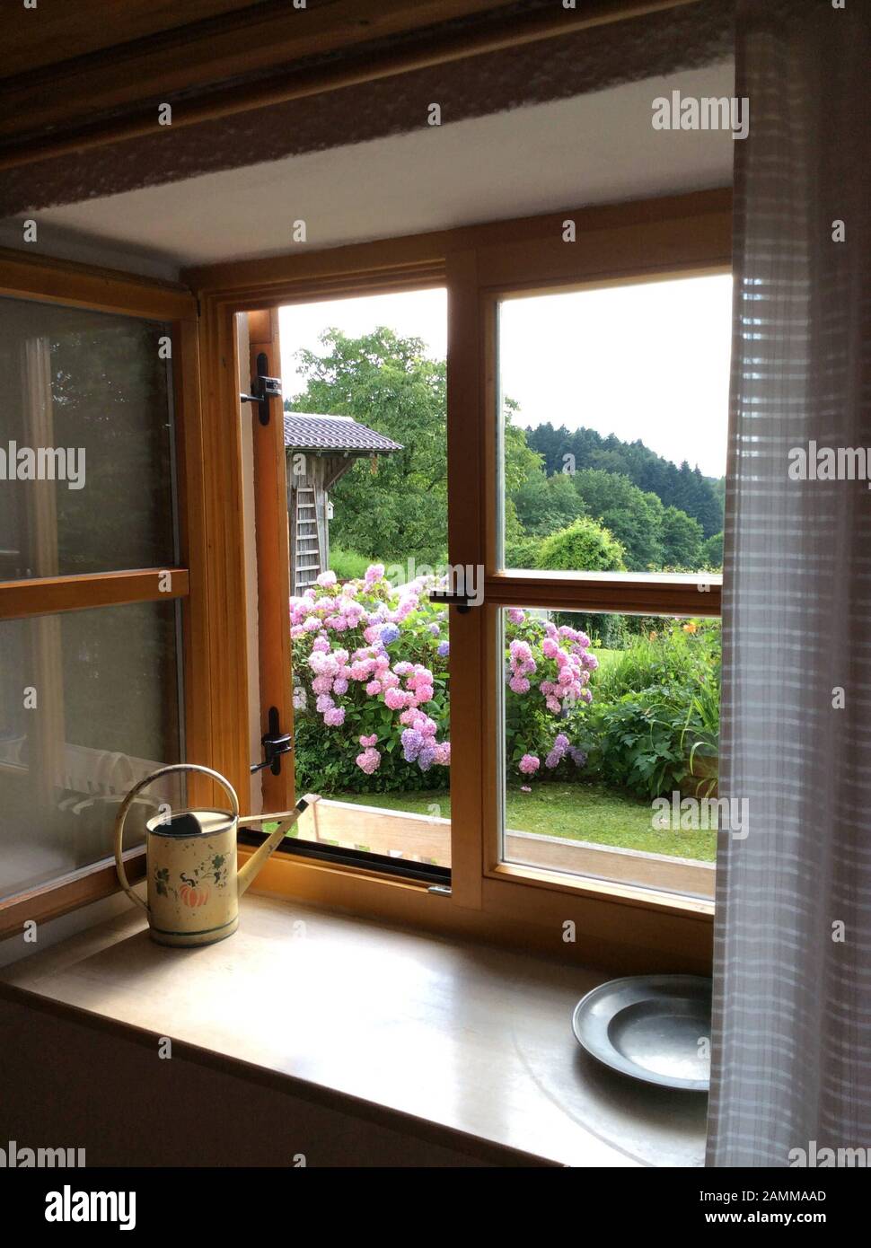 Finestre in legno incorniciare la vista nel giardino con idrangee. Antica casa colonica del 18th secolo con pareti spesse nel distretto di Deggendorf, Bassa Baviera, Germania. [traduzione automatizzata] Foto Stock