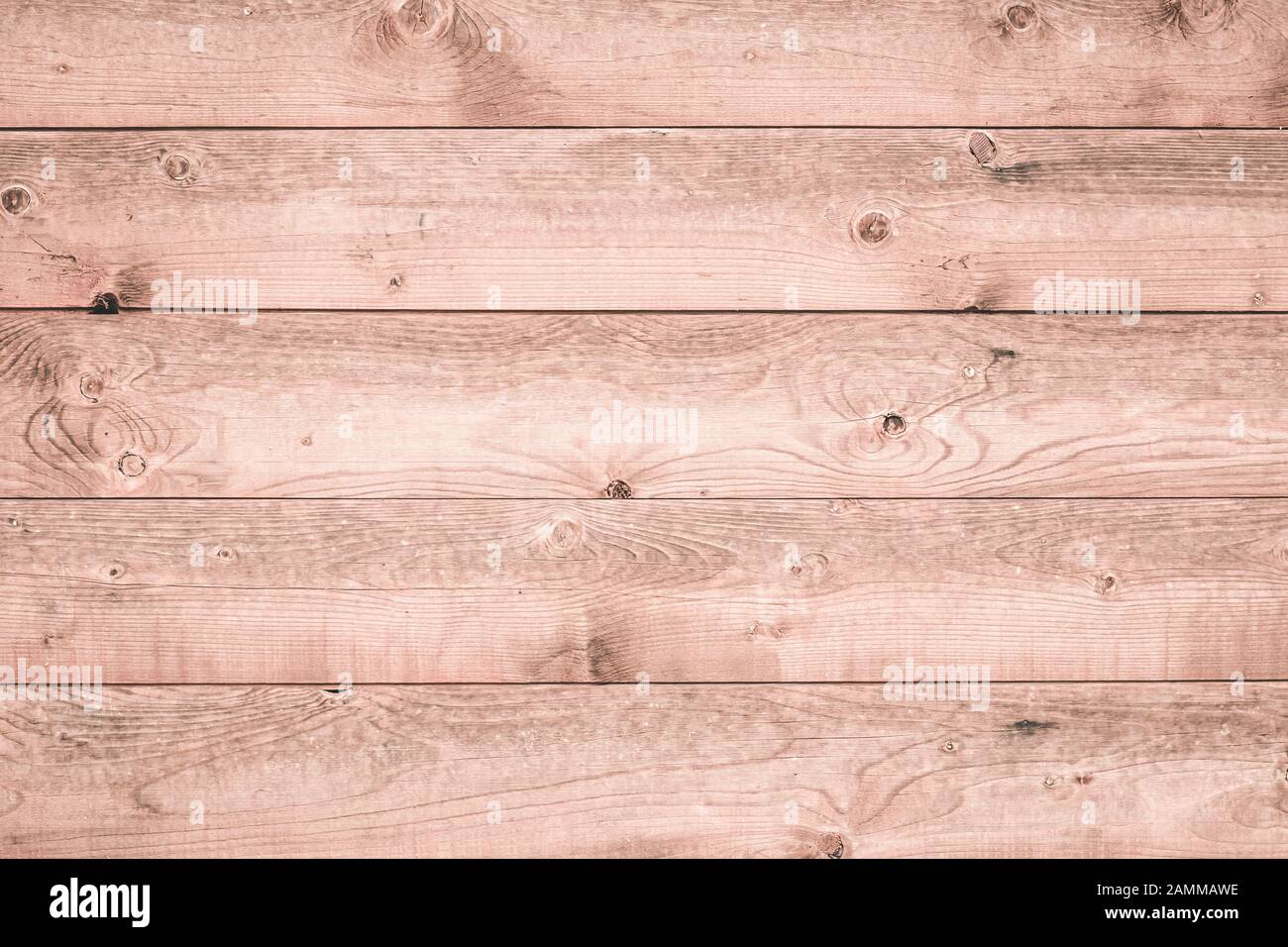 Tessitura di tavole di legno chiaro. Superficie in legno rosa tenue. Sfondo naturale. Sfondo in legno bianco. Pavimento in legno rustico, tavole vintage. Interio Foto Stock