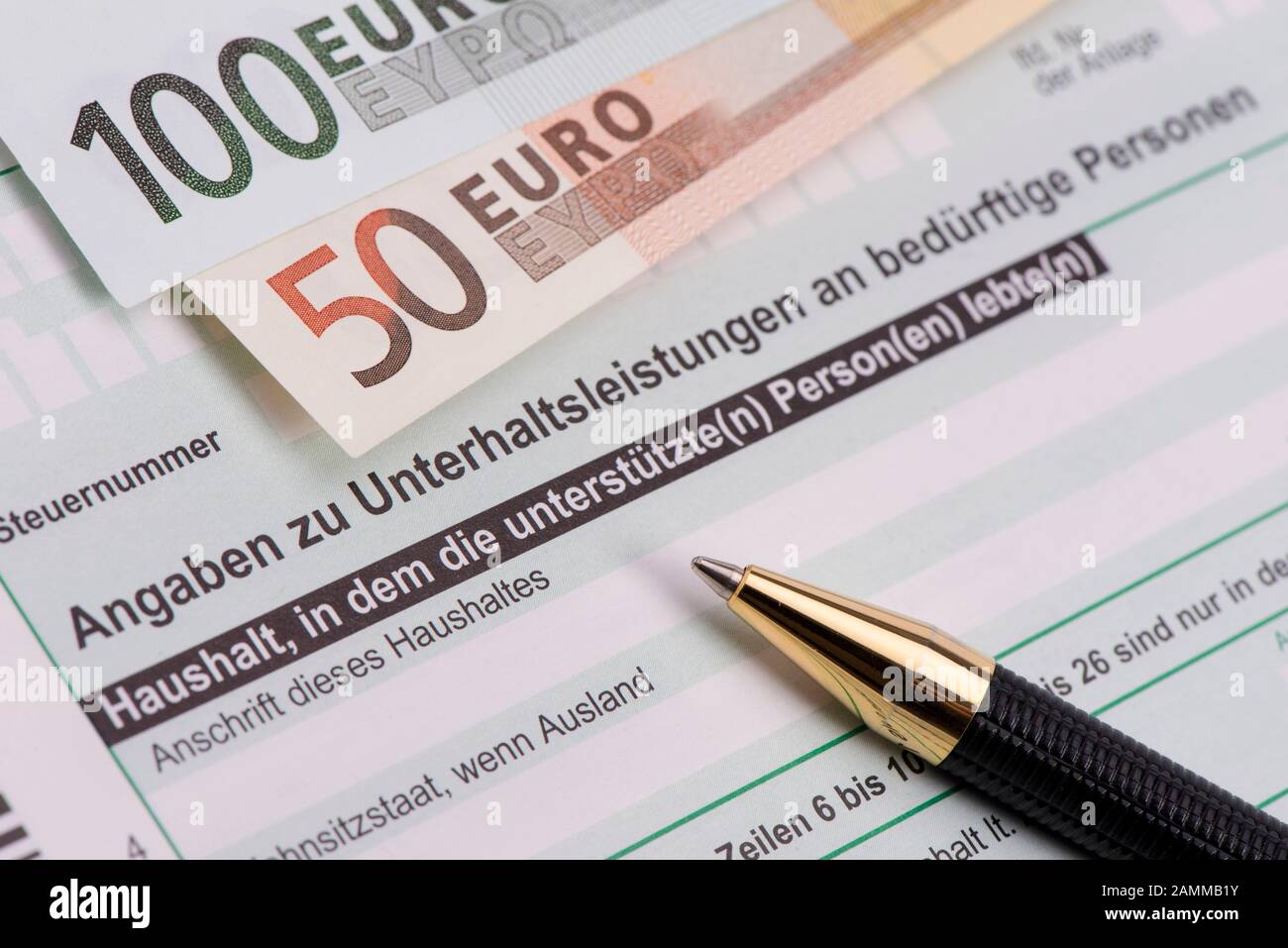Dichiarazione fiscale per l'ufficio fiscale per la manutenzione [traduzione automatizzata] Foto Stock