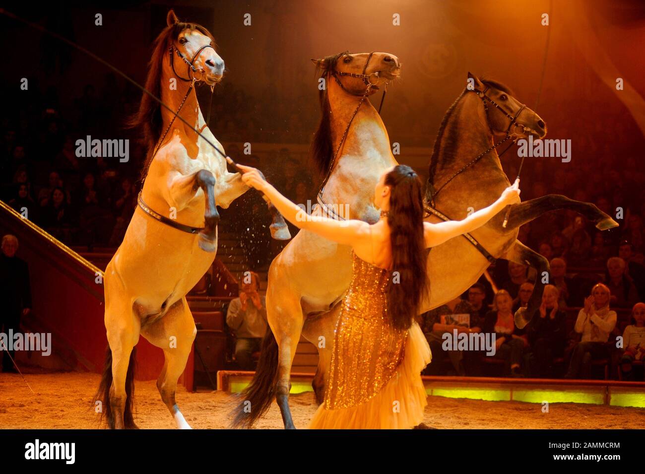 Horse dressage atto alla prima del terzo programma invernale al Circus Krone di Monaco. [traduzione automatizzata] Foto Stock