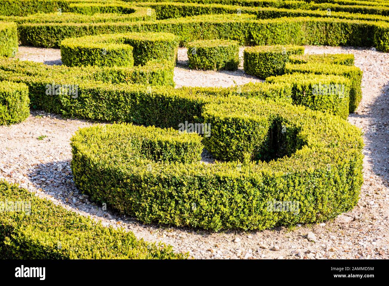 Un parterre de broderie in un francese giardino formale, con siepi di bosso tree potati in forme di curling, che la terra è ricoperta di ghiaia bianca. Foto Stock