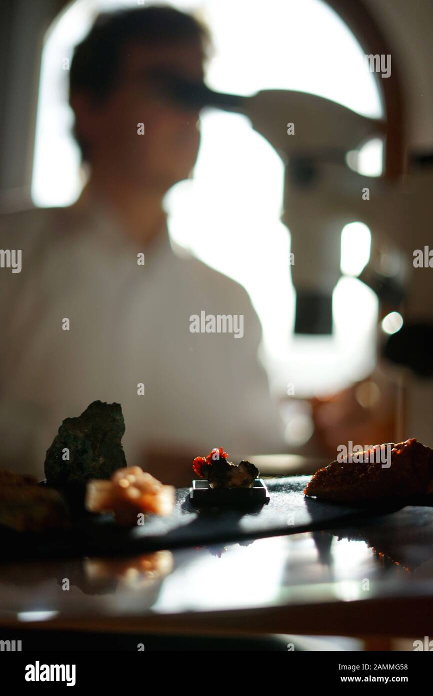 Un mineralogista di hobby guarda una pietra attraverso un microscopio. [traduzione automatizzata] Foto Stock