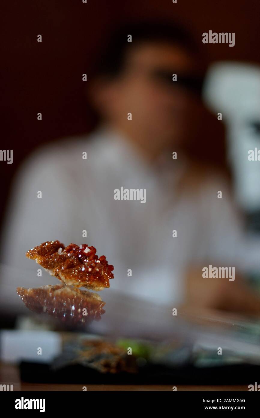 Un mineralogista di hobby guarda una pietra attraverso un microscopio. [traduzione automatizzata] Foto Stock