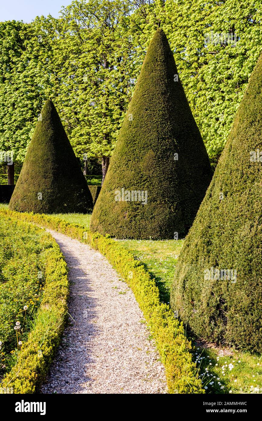 Un parterre di un francese giardino formale, confina con tassi potati in forma conica lungo un bianco sentiero di ghiaia. Foto Stock