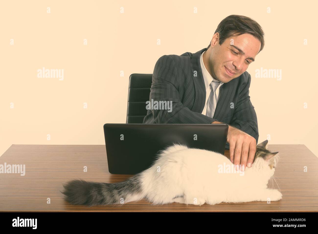 Studio scatto di giovane uomo d'affari persiano toccando gatto carino mentre seduto con laptop su tavolo di legno Foto Stock