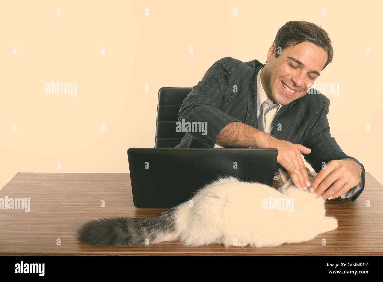 Felice uomo d'affari persiano sorridente e toccante gatto carino mentre seduto con il portatile su tavolo di legno Foto Stock