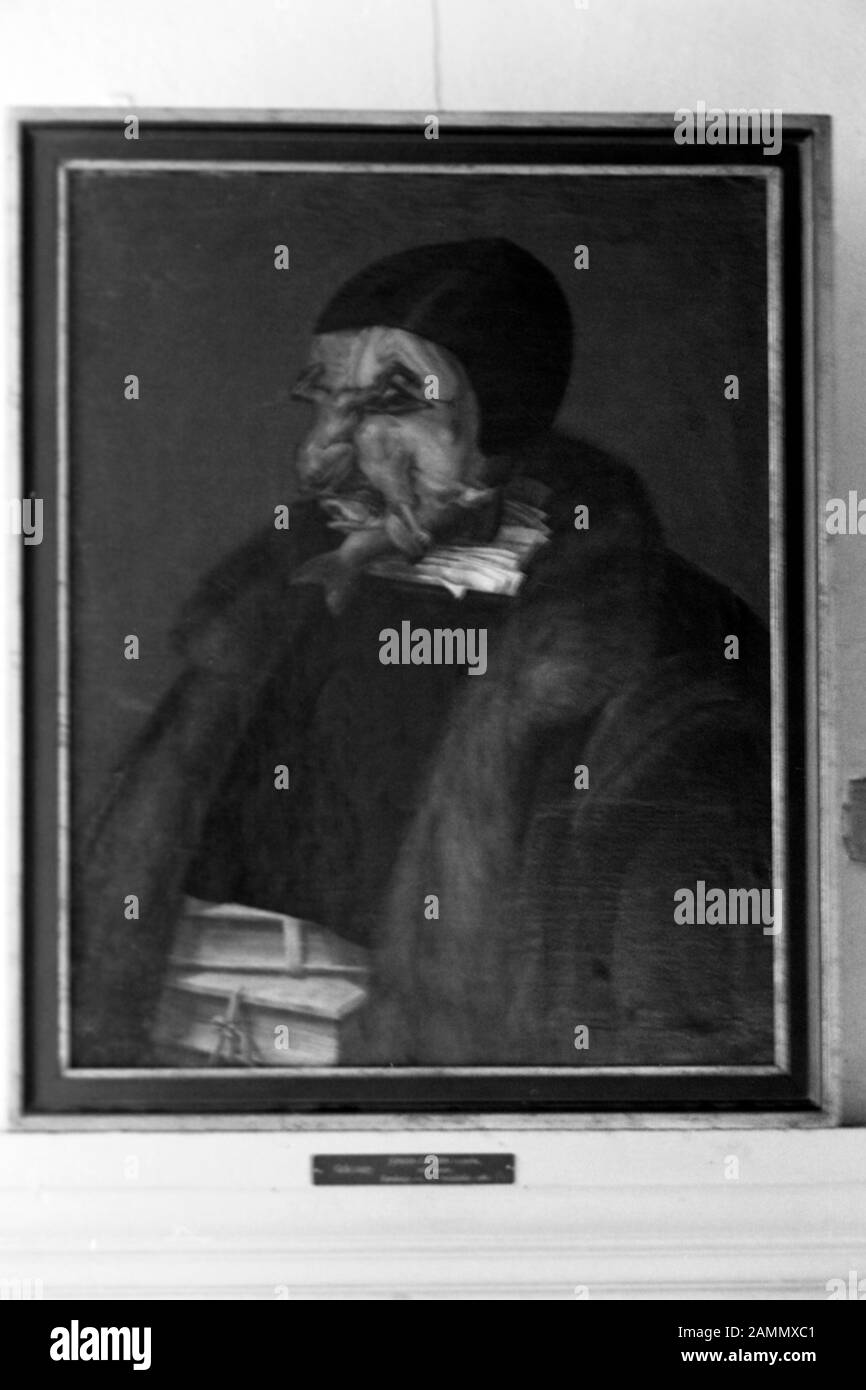 Karikatur von Reformator Johannes Calvin gemalt von Giuseppe Arcimboldo , Schloss Gripsholm, bei Stockholm, Schweden, 1969. Caricatura del riformatore Johannes Calvin dipinto da Giuseppe Arcimboldo, Castello di Gripsholm, nei pressi di Stoccolma, Svezia, 1969. Foto Stock