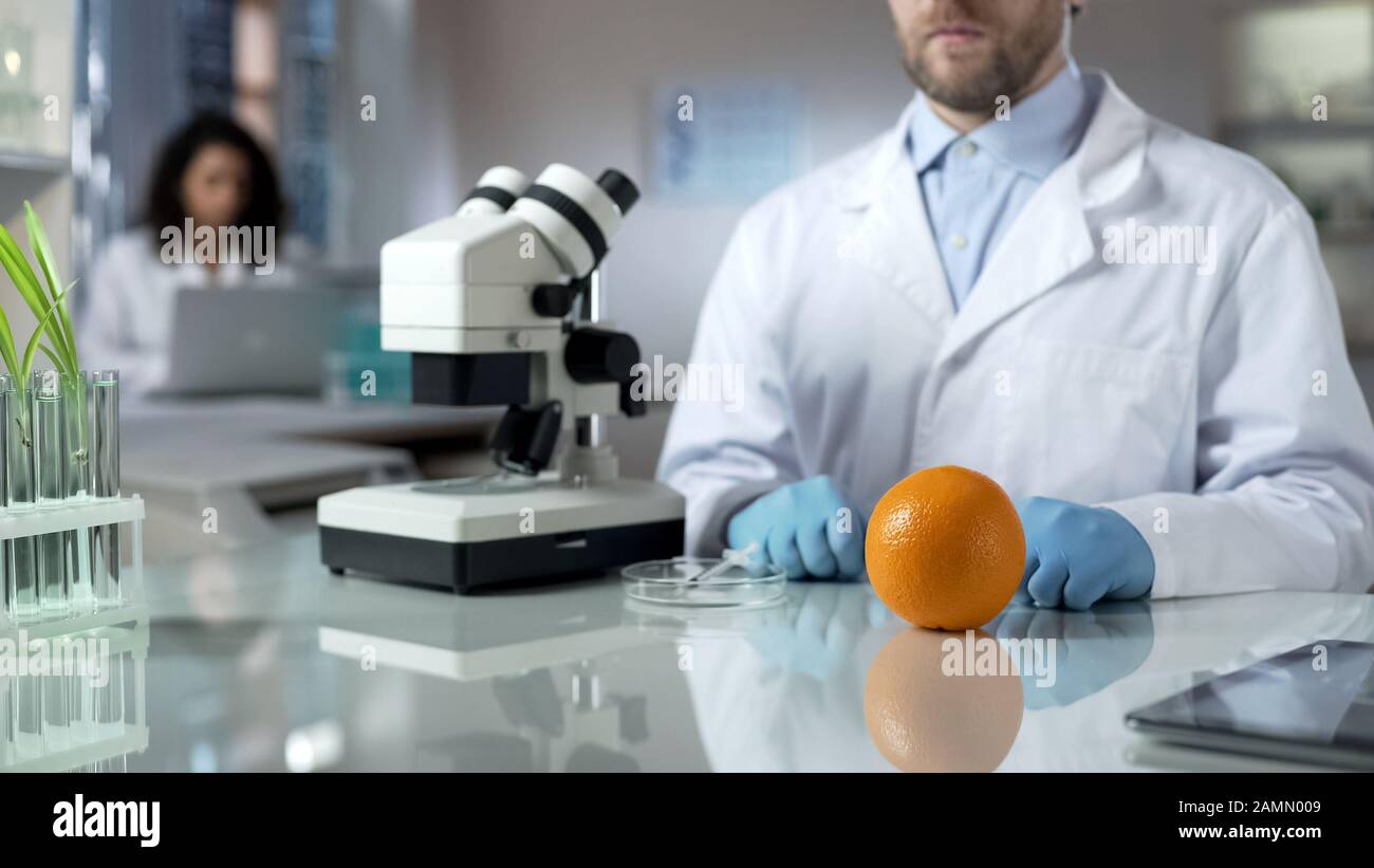 Ricercatore che analizza campione di arancio in laboratorio, alimenti geneticamente modificati Foto Stock