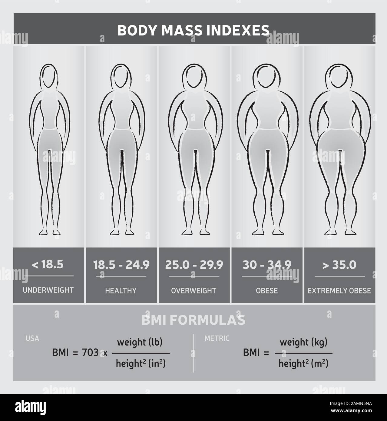 Corpo Mass Index Illustrazione Con Donna Body Silhouette, Che Mostra Cinque Classi E Formule Illustrazione Vettoriale