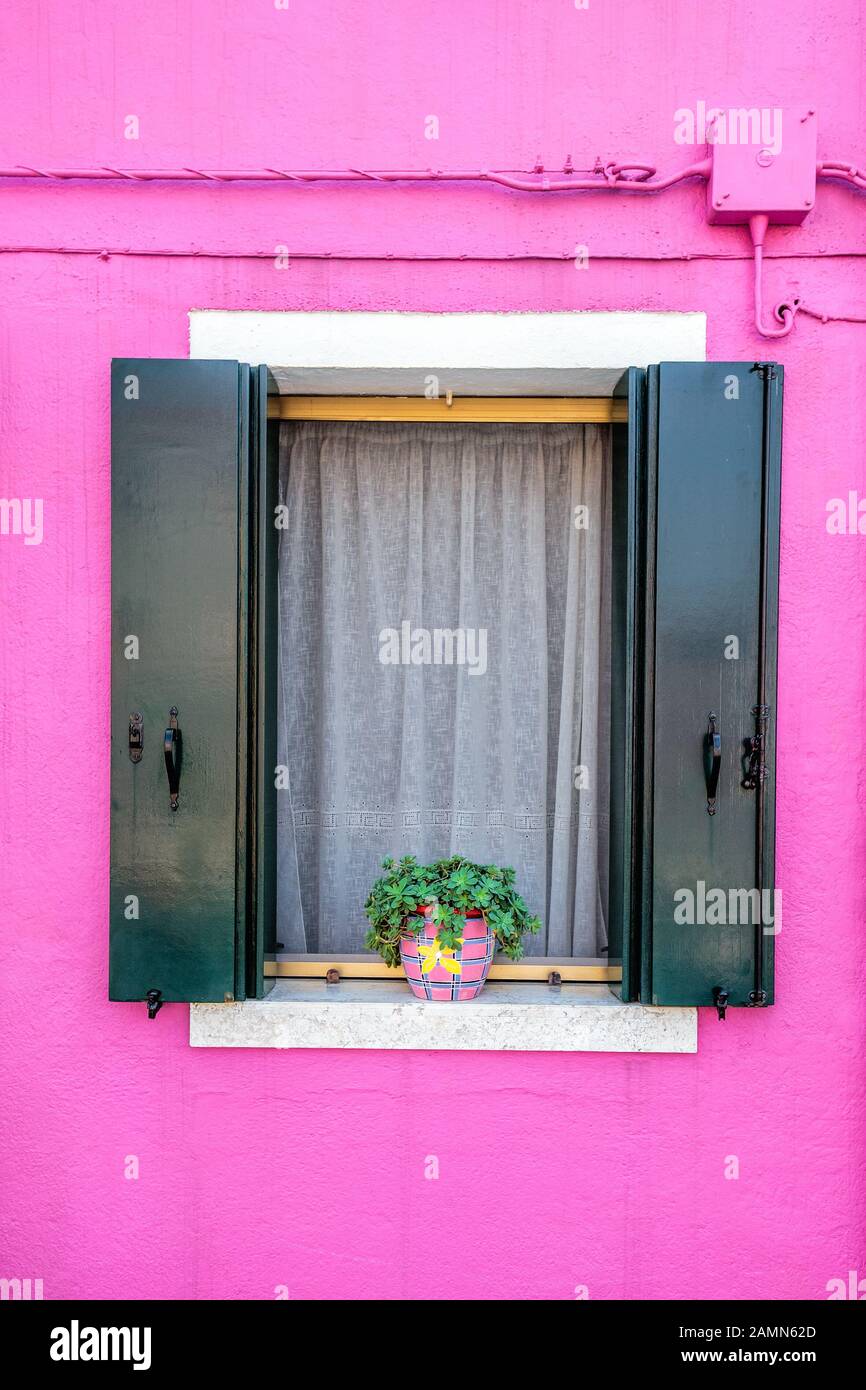 Finestra pittoresca con persiane verde scuro e fiori sulle pareti rosa delle case sulla famosa isola di Burano, Venezia, Italia Foto Stock