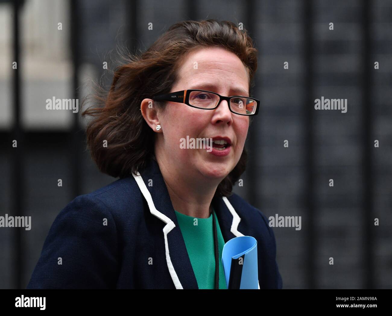 Downing Street, Londra, Regno Unito. 14th gennaio 2020. La baronessa Evans di Bowes Park, leader della Camera dei Lord, lascia Downing Street dopo una riunione settimanale del gabinetto. Credito: Malcolm Park/Alamy Live News. Foto Stock