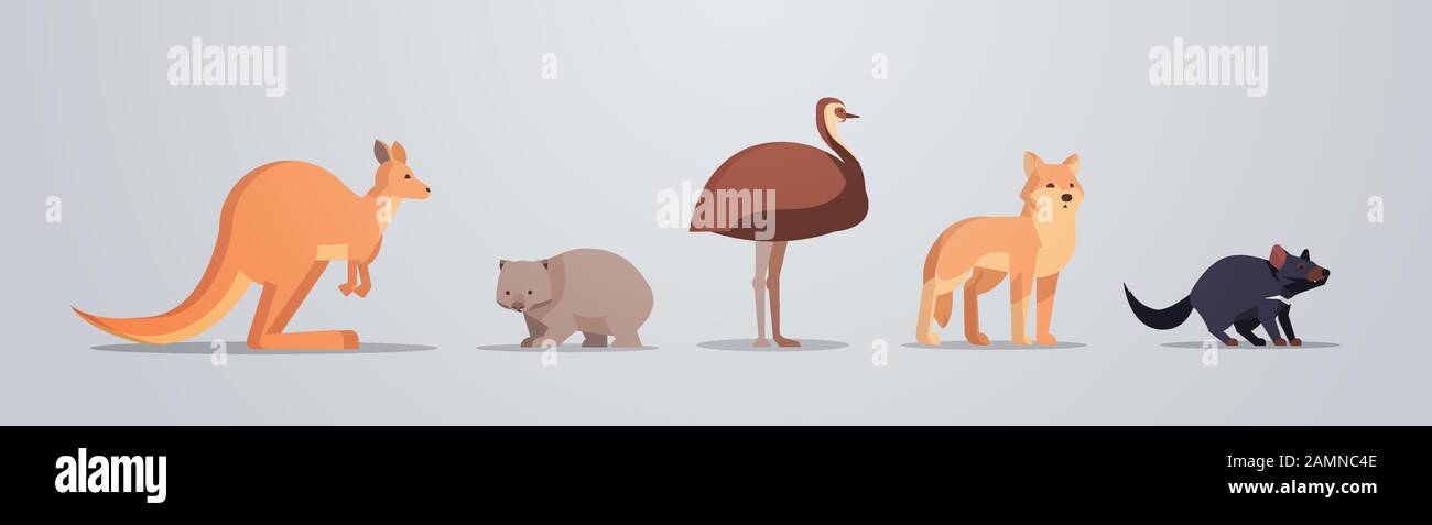 set cartone animato in via di estinzione animali selvatici australia raccolta fauna specie fauna concetto piatto orizzontale vettore illustrazione Illustrazione Vettoriale