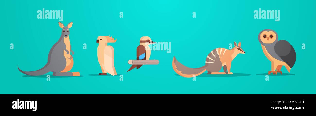 set cartone animato in via di estinzione animali selvatici australia raccolta fauna specie fauna concetto piatto orizzontale vettore illustrazione Illustrazione Vettoriale