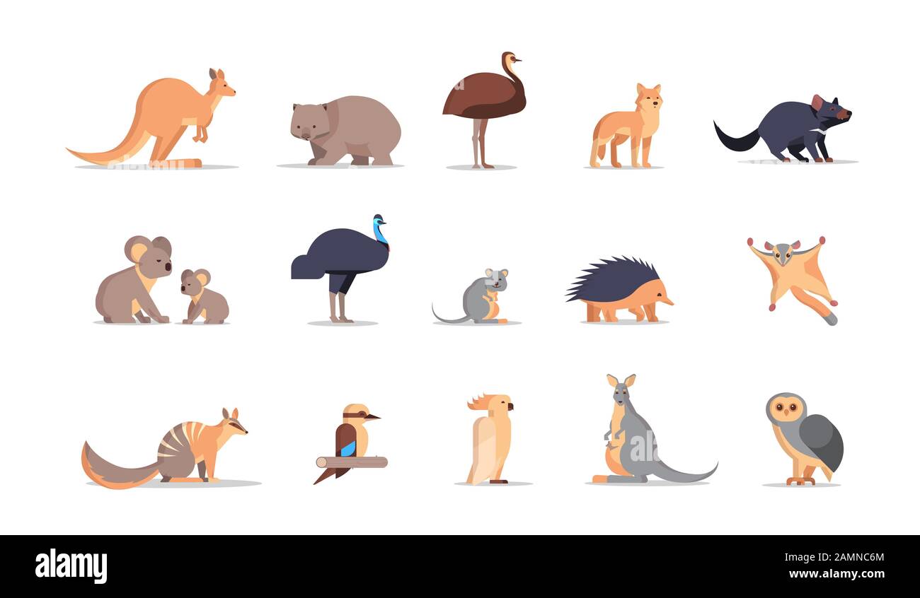 set cartone animato in via di estinzione animali selvatici australia raccolta fauna specie fauna concetto piatto orizzontale vettore illustrazione Illustrazione Vettoriale